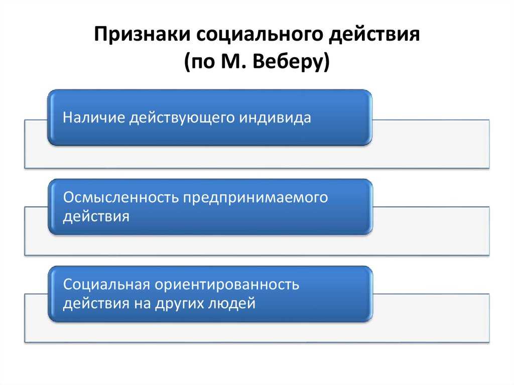 Социальное поведение по м. веберу