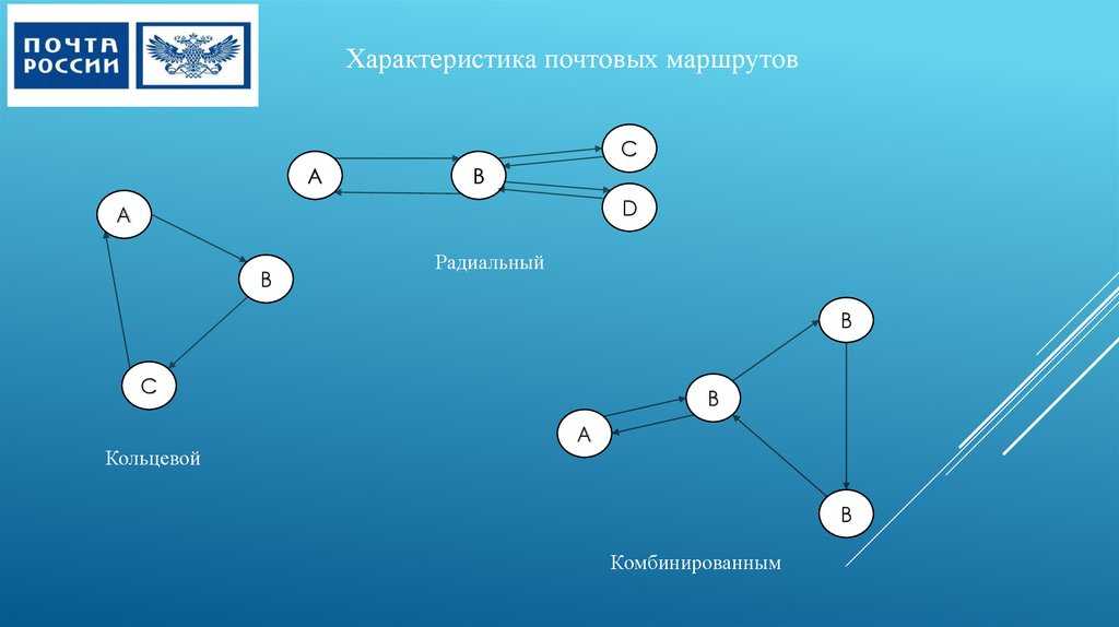 Виды автобусных перевозок и организация движения на маршрутах