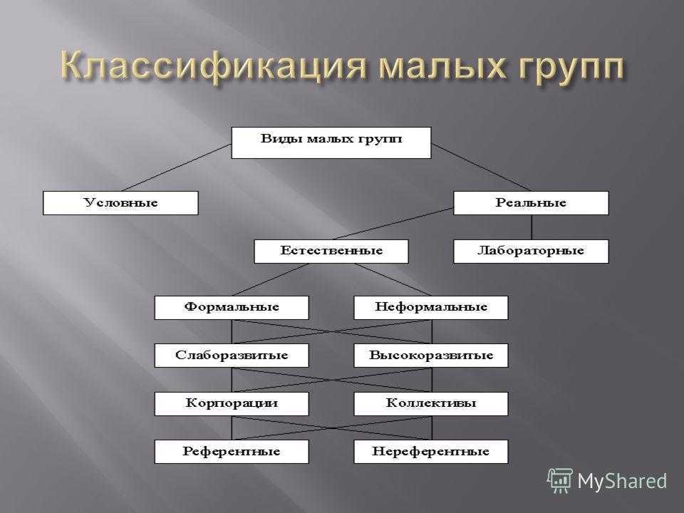 Социальные группы определение, виды с примерами, признаки и функции