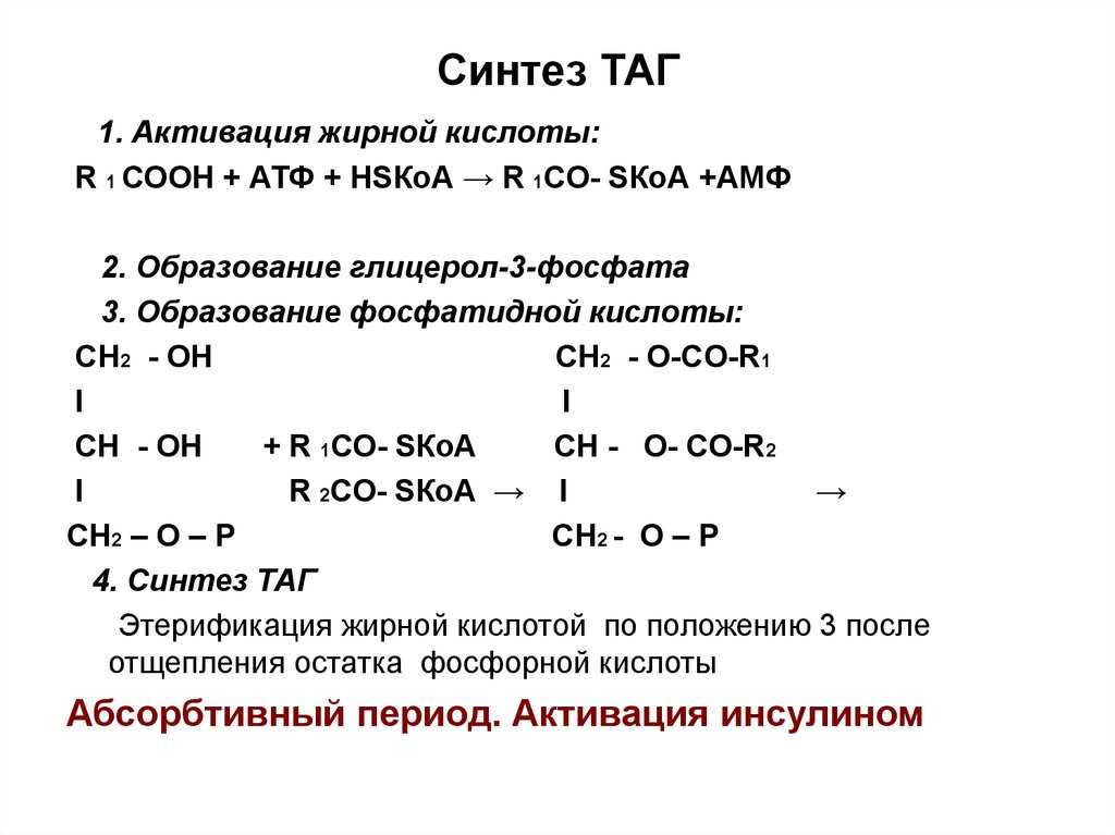 Обмен триацилглицеролов - обмен липидов - биохимия учебник для вузов - е. с. северина - 2004
