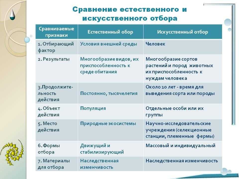 Классификация
