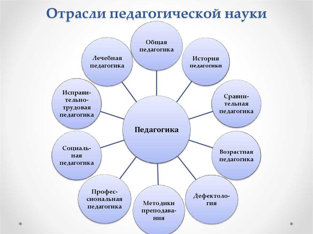 Что входит в структуру педагогических наук