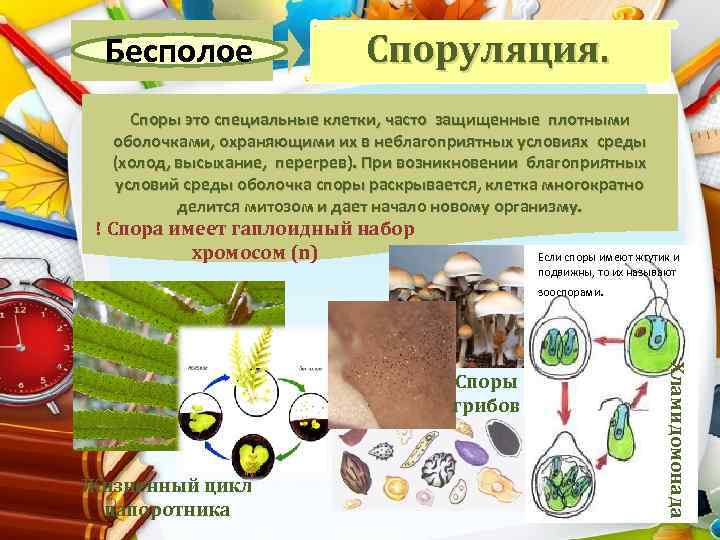 Технология выживания спорообразующих бактерий