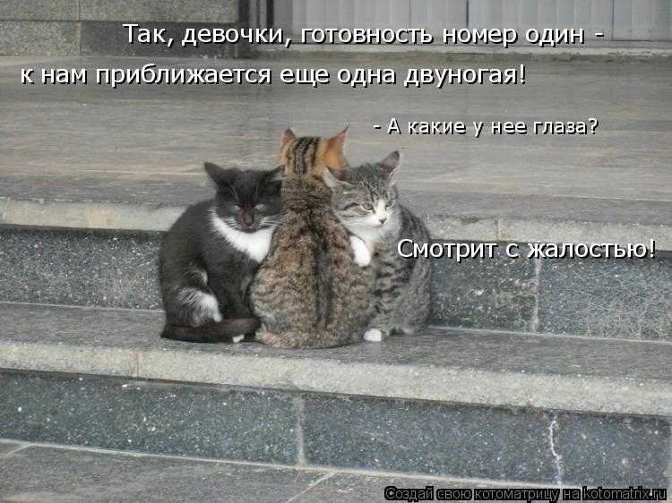 Все о великой отечественной войне для егэ по истории