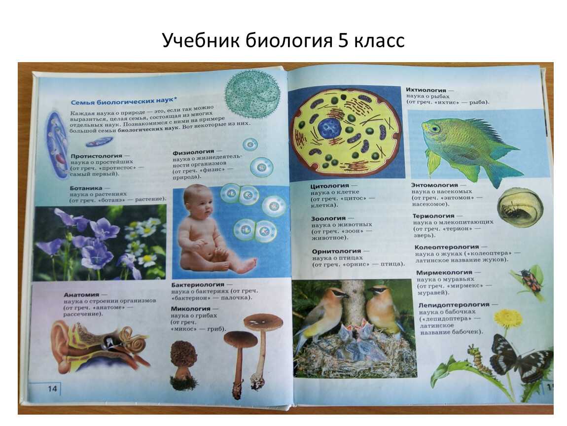 Биология как наука. часть 1