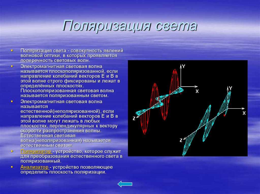 Поляризация света