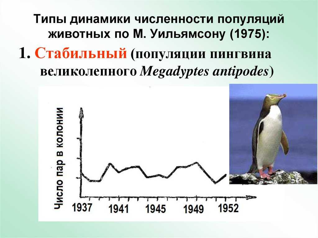 Динамика популяции - определение термина