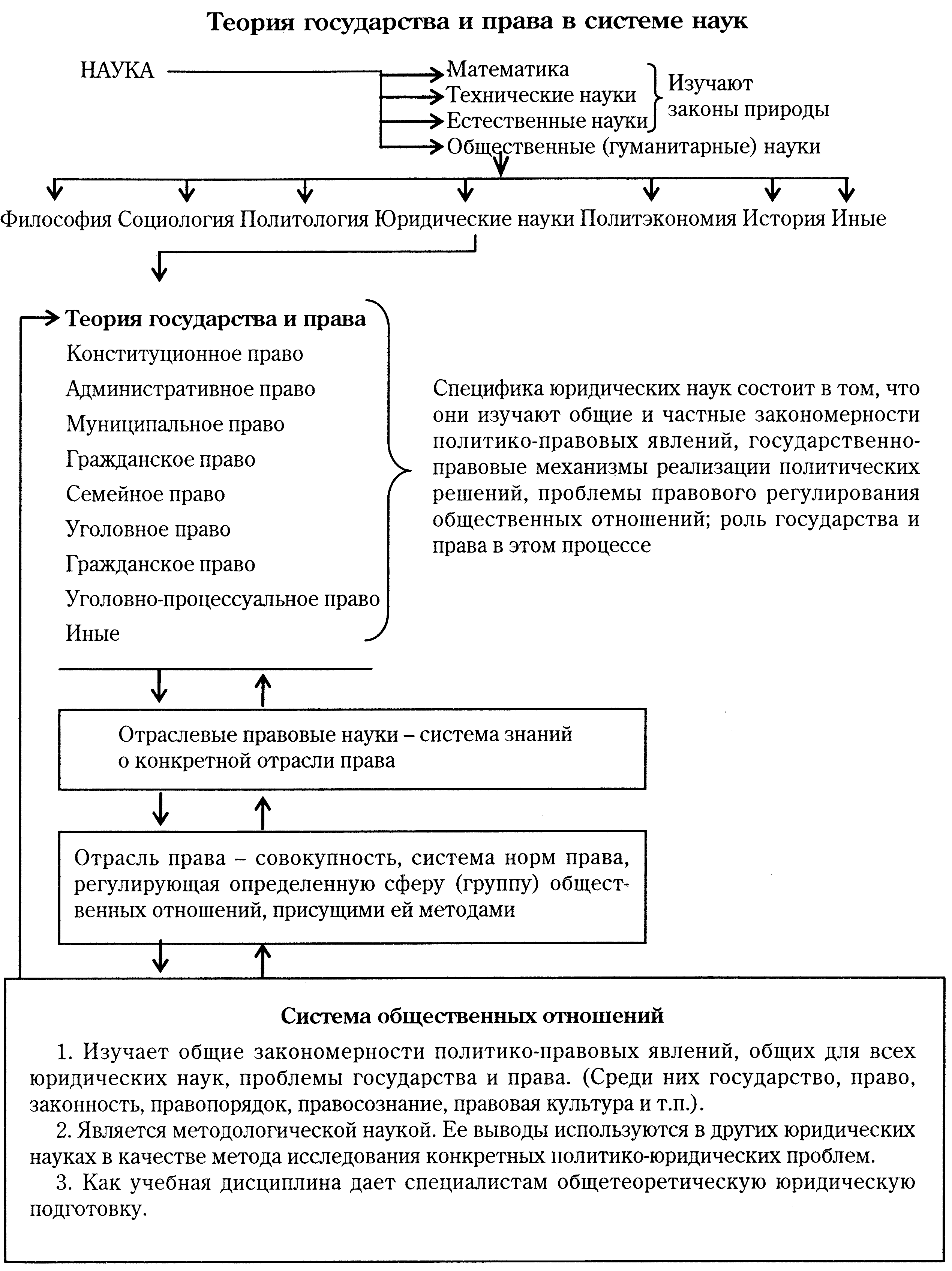 Теория государства и права в системе гуманитарных наук и учебных дисциплин