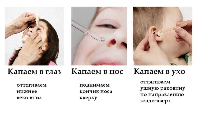 Техника закапывания капель в глаза, нос и ухо ребенку раннего возраста