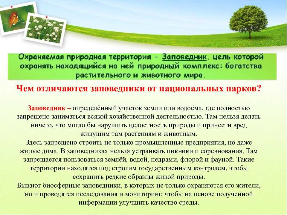 Государственные природные заповедники: список, территории и значение