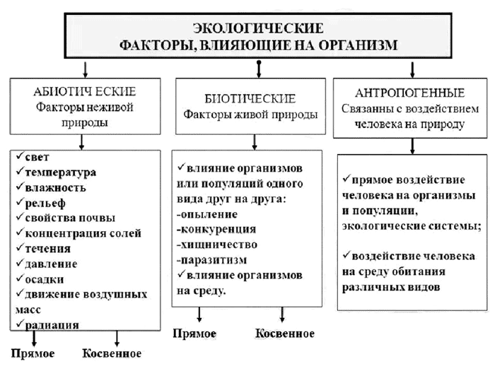 Биология. 10 класс