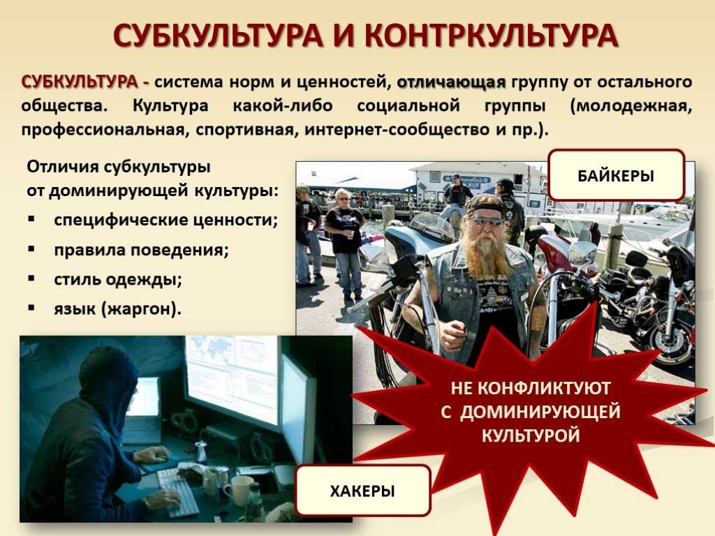 Лекция № 8. субкультура и контркультура