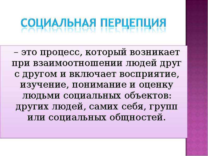Перцепция