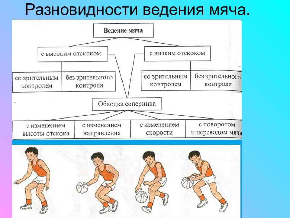 Баскетбол: история, правила, инвентарь, площадка﻿
