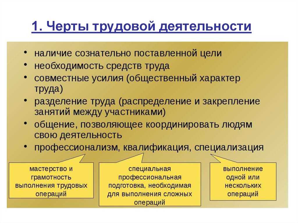Трудовая деятельность
