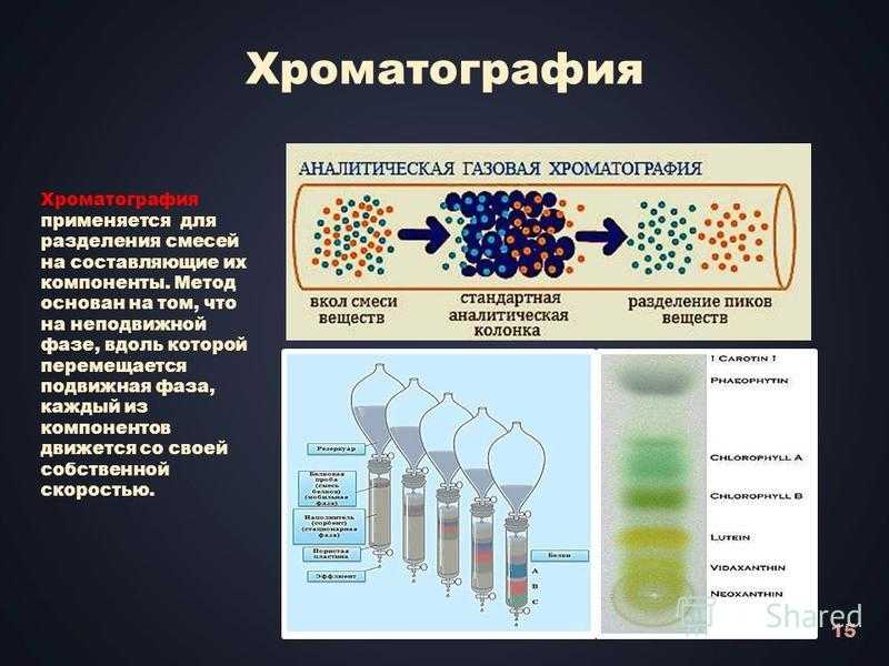 Хроматограф – устройство, принцип действия, виды