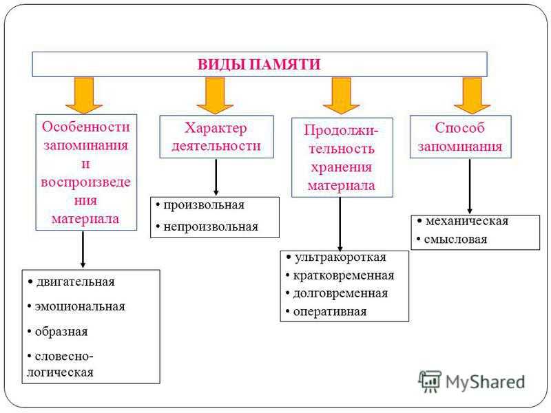 Виды памяти у человека