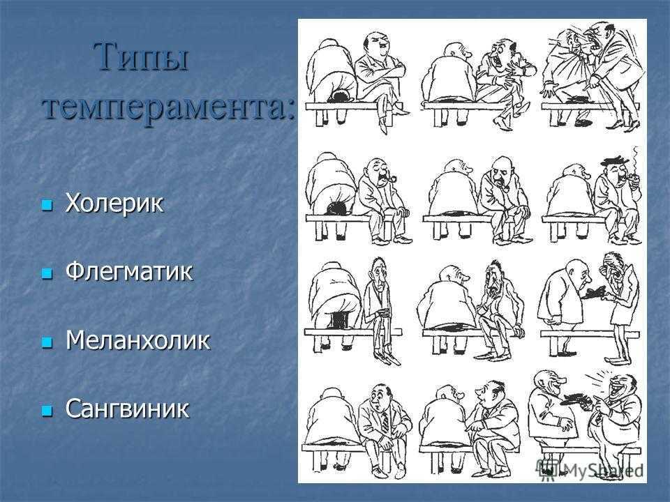 Темперамент. виды темперамента