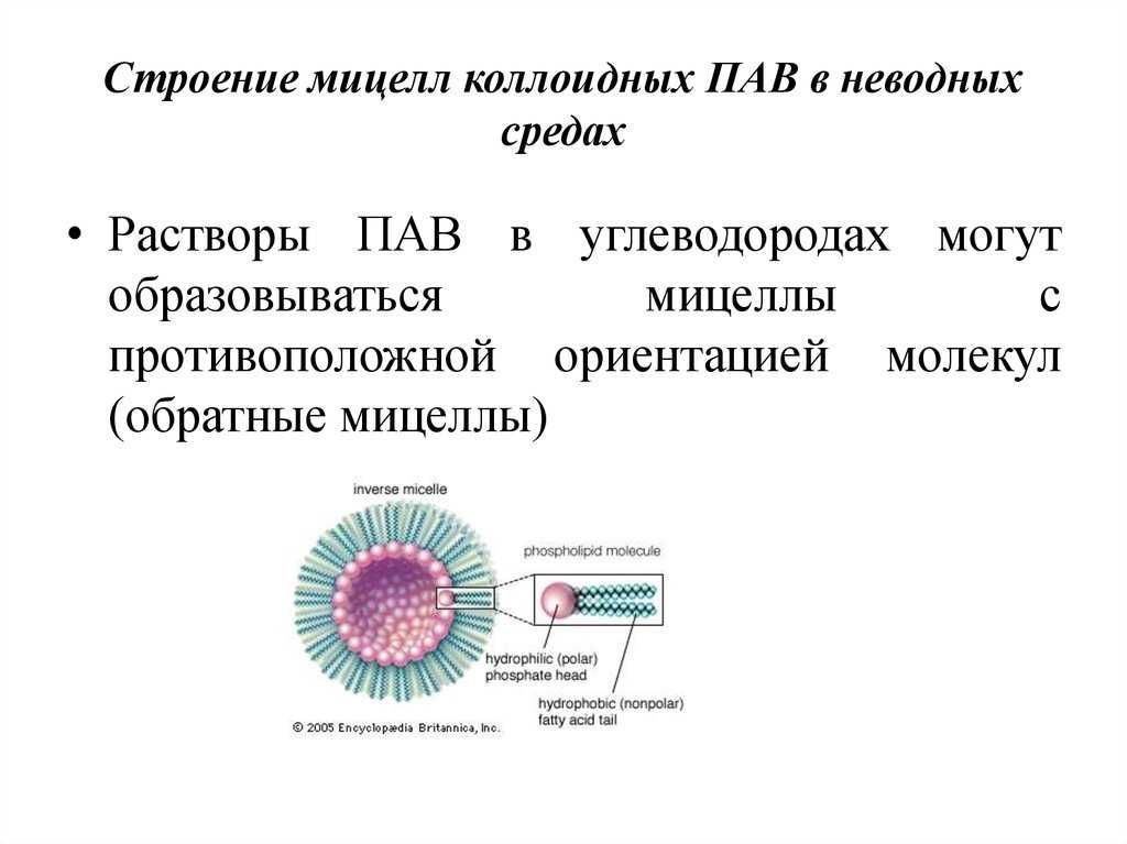 Лекция №10