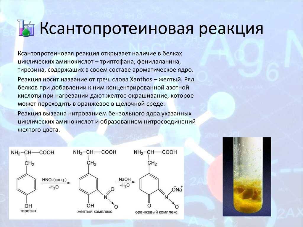 Ксантопротеиновая реакция
 - большая энциклопедия нефти и газа, статья, страница 3