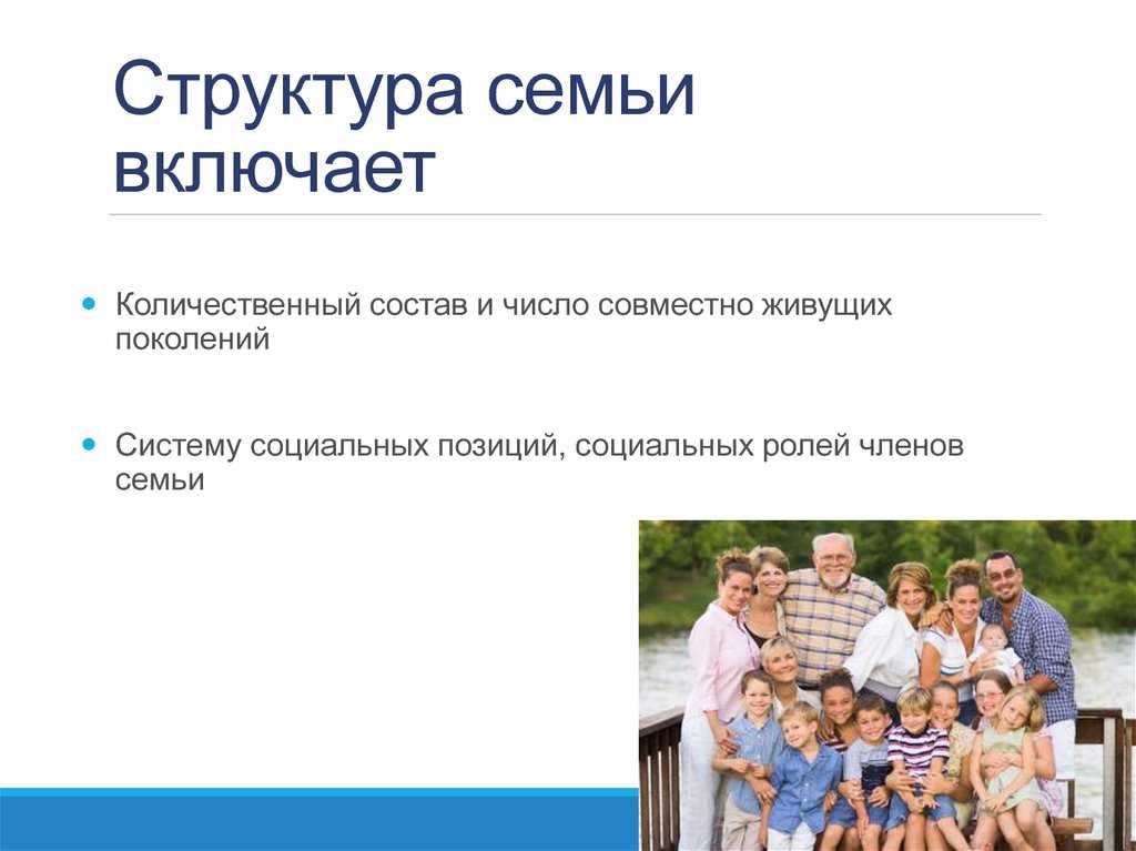 Какие бывают семьи по родственной структуре? [l&g]
