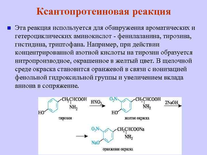 Химические свойства белков | химия онлайн