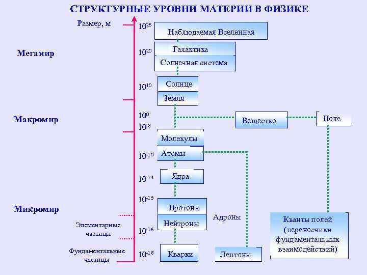 Структурные уровни и системная организация материи
