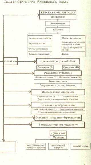 Структура и основные показатели работы родильного дома. структура родильного отделения