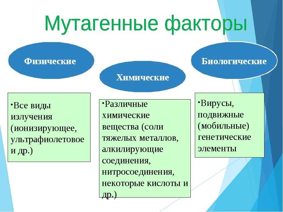 Химические мутагены