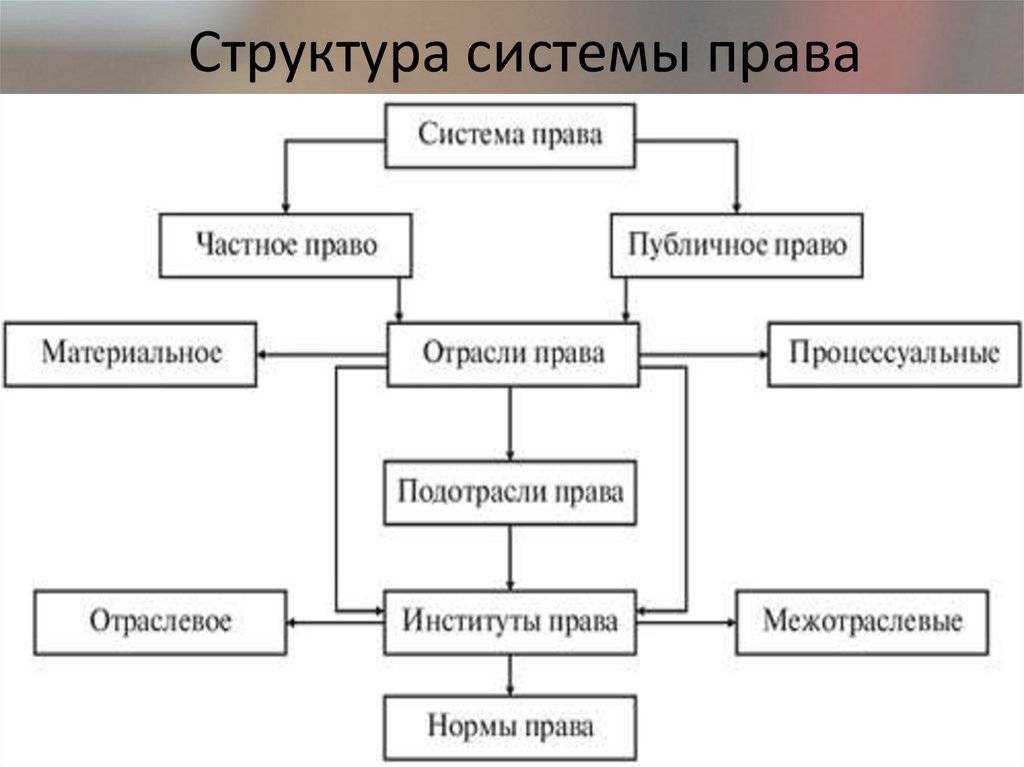 Структура и система права
