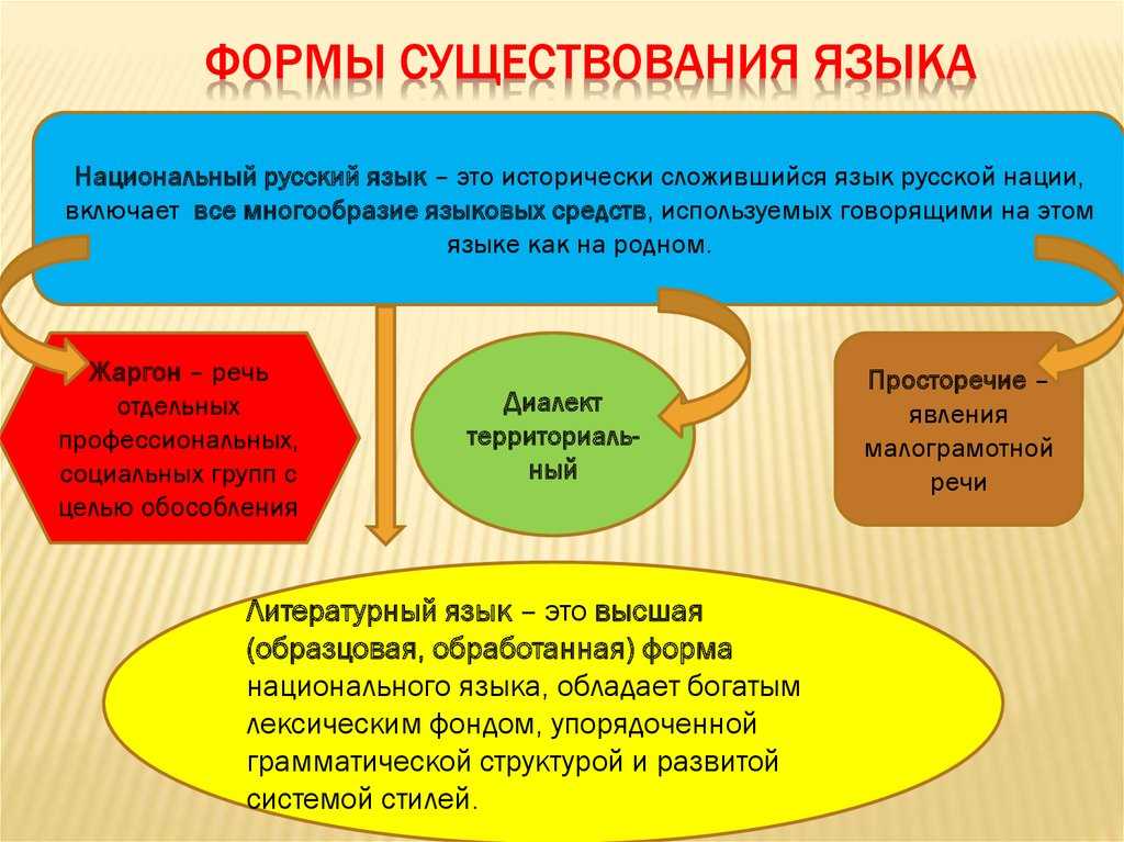 Формы существования национального русского языка: русский литературный язык, просторечие, диалекты, жаргонизмы