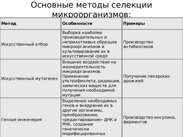 Селекция. биотехнология. | егэ по биологии