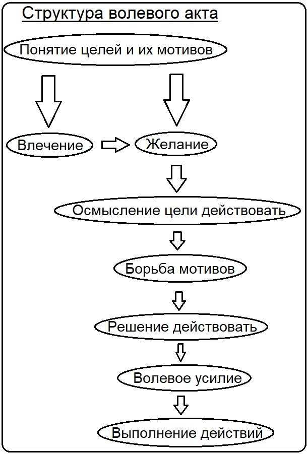 Понятие о воле и волевых процессах