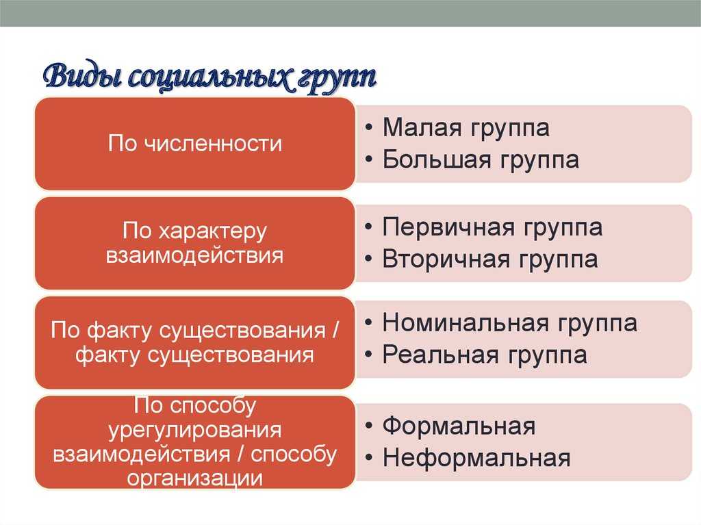 Социальные группы: понятие, примеры, классификация, функции