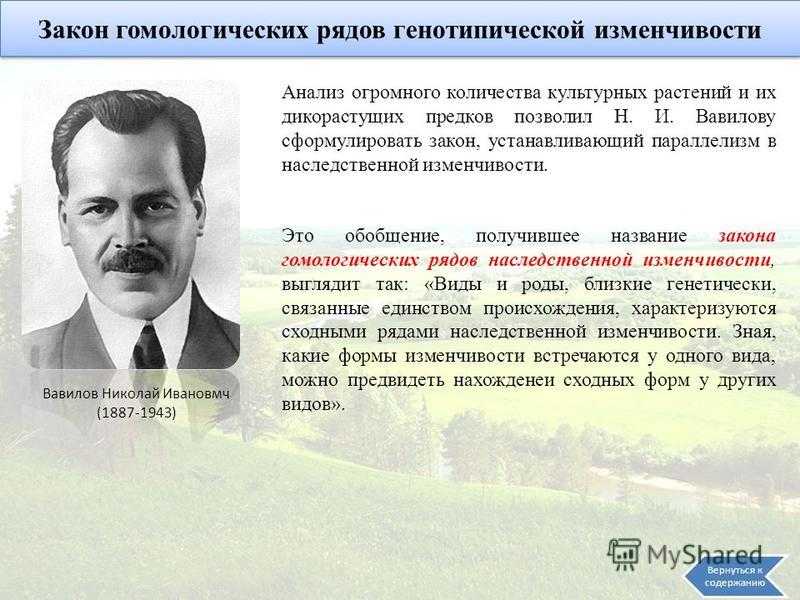 Сформулируйте закон гомологических рядов и покажите его общебиологическое значение кратко