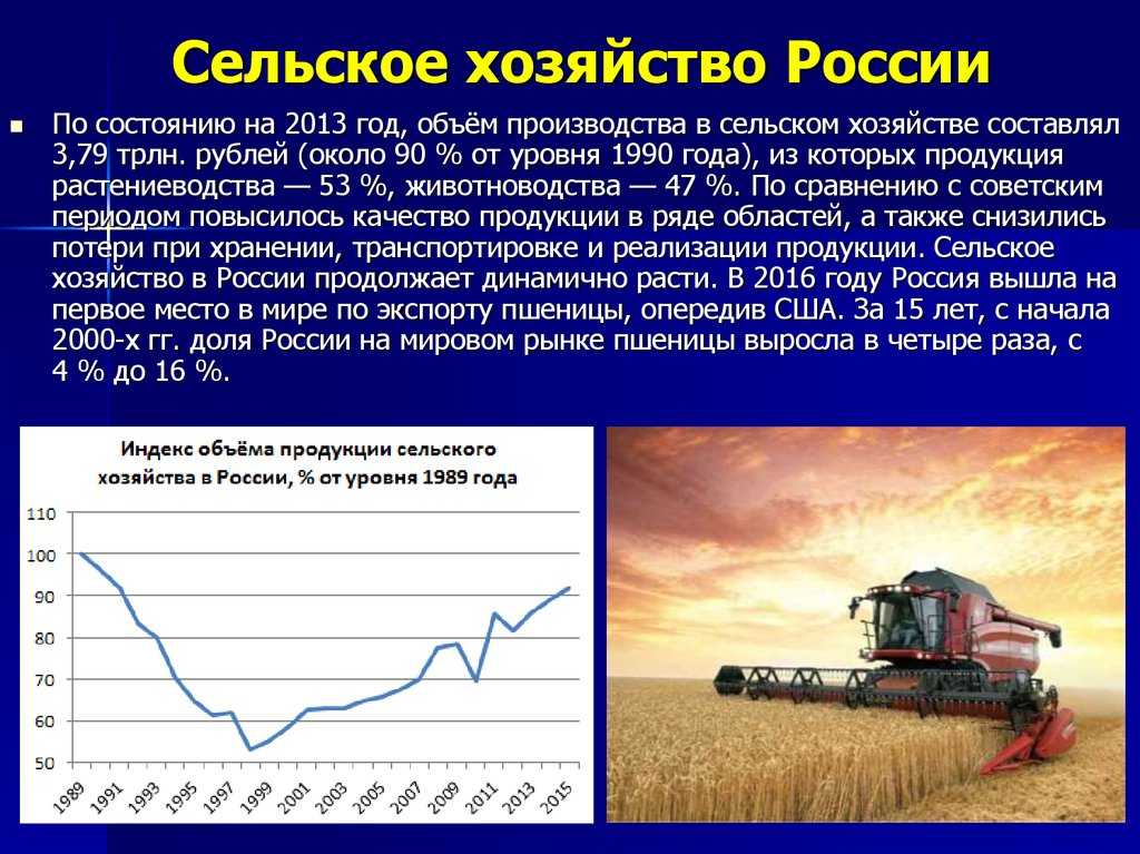 Позиции россии в мировом хозяйстве в начале ххi века