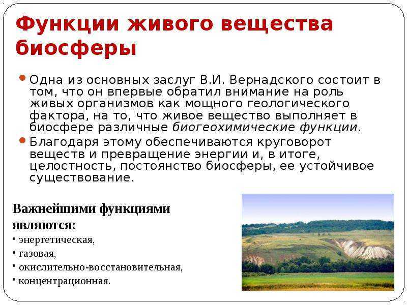 Урок 7: биосфера - 100urokov.ru
