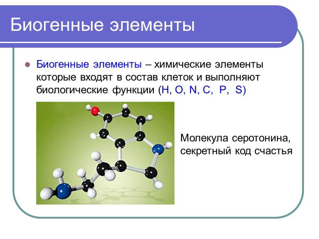Биогенные элементы, характеристики, классификация и функции / биология | thpanorama - сделайте себя лучше уже сегодня!