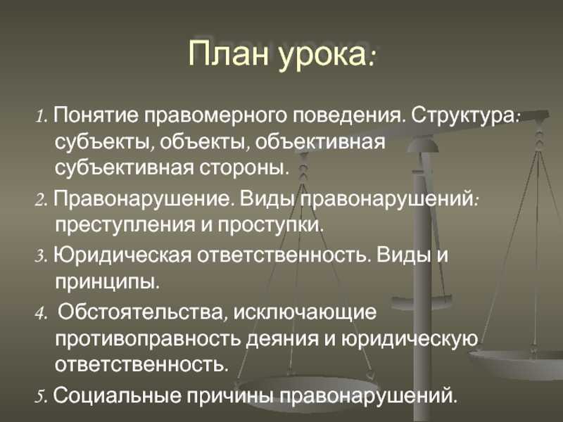 Поведение людей в правовой сфере. правомерное поведение. правонарушение - теория государства и права (алексеев с.с., 2005)
