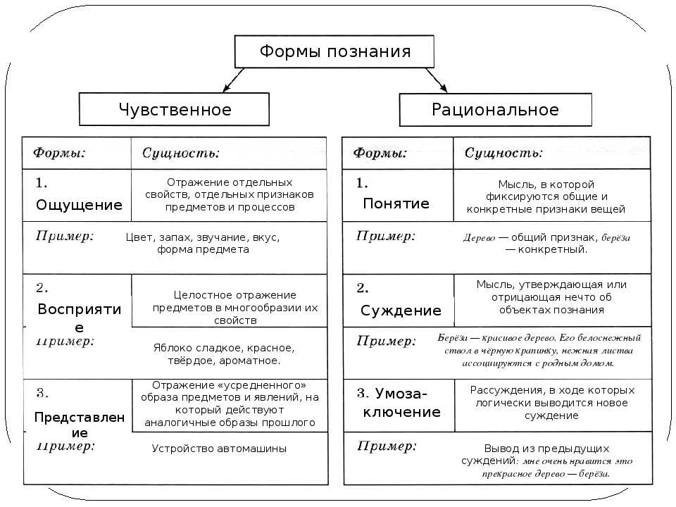 Рациональное познание в обществознании – что такое, основные формы, признаки и примеры из жизни кратко