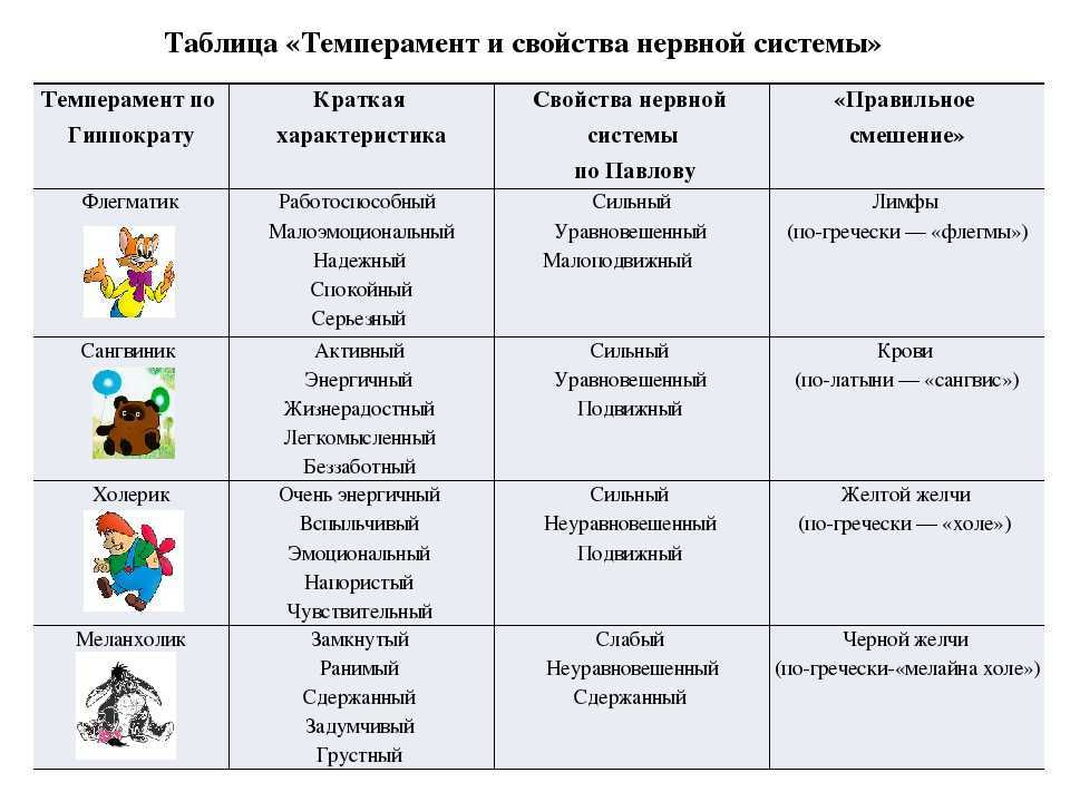 Темперамент, его типы и их психологическая характеристика