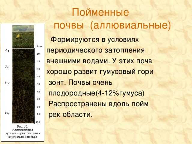 Аллювиальный грунт: характеристики, геология, свойства, применение - наука - 2023