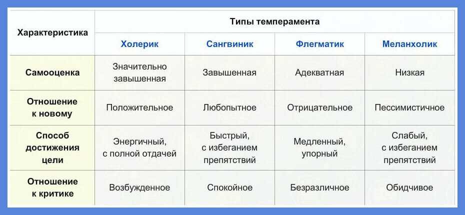 Типы темперамента человека и их краткая характеристика