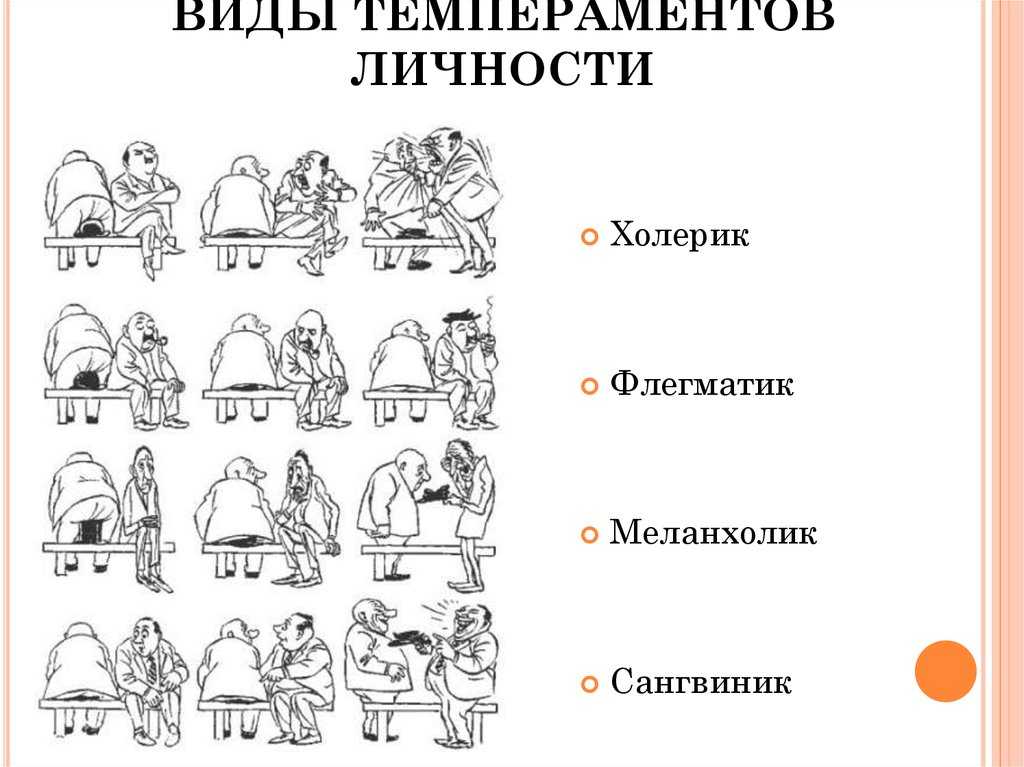 Типы темперамента и их характеристика