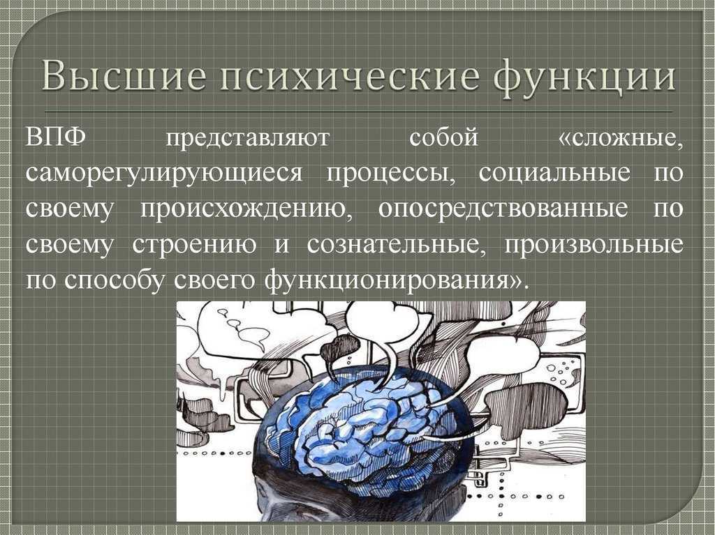 Развитие высших психических функций выготский. основные положения теории выготского о развитии высших психических функций (впф)