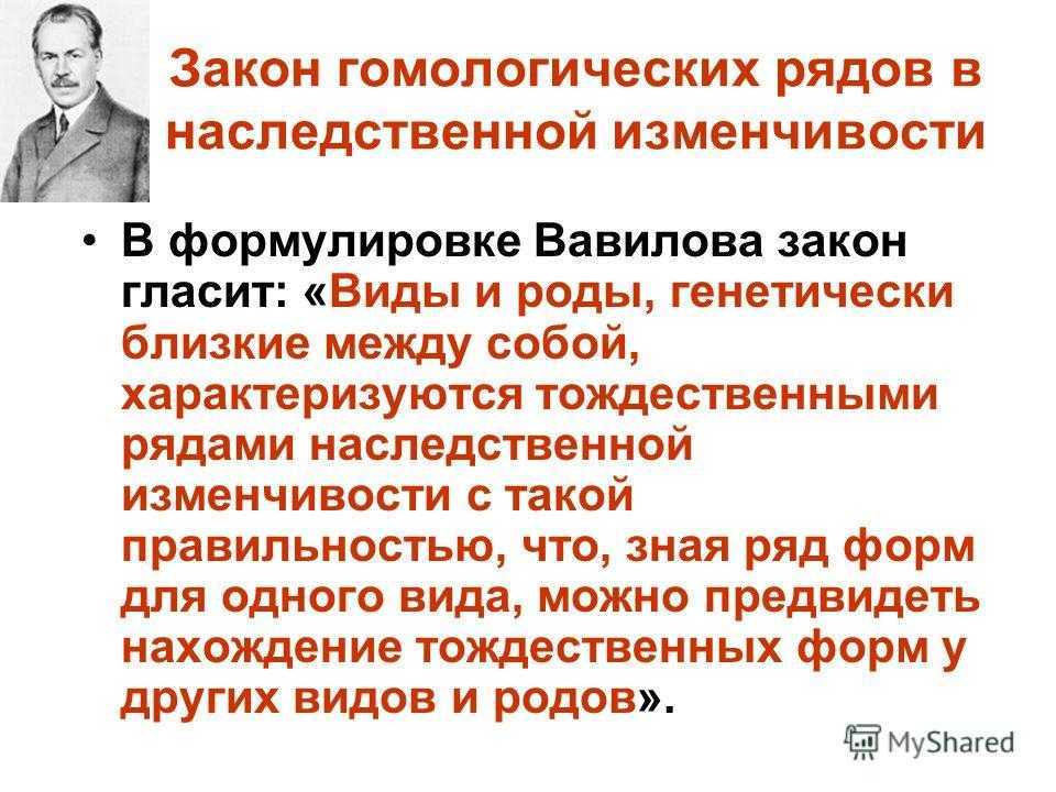 Закон  гомологических рядов: кто сформулировал, суть, значение закона