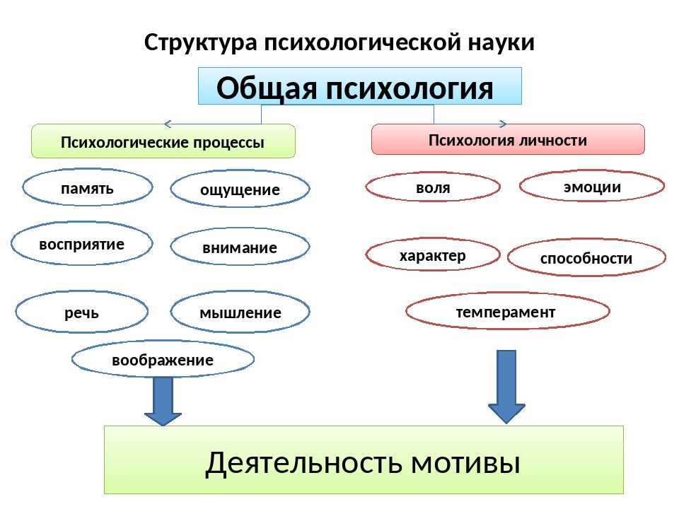 Принципы общей психологии