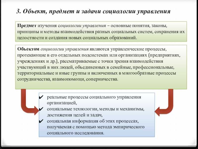 Предмет, структура и функции социологии - готовый реферат