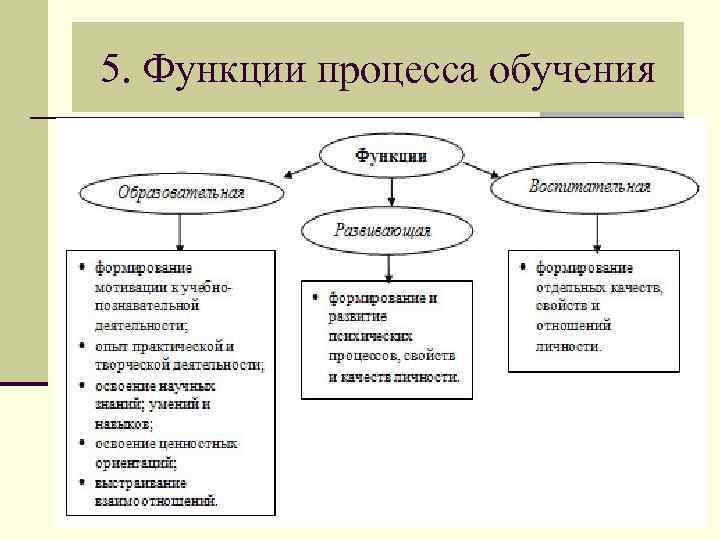 Образовательная, воспитательная и развивающая функции обучения