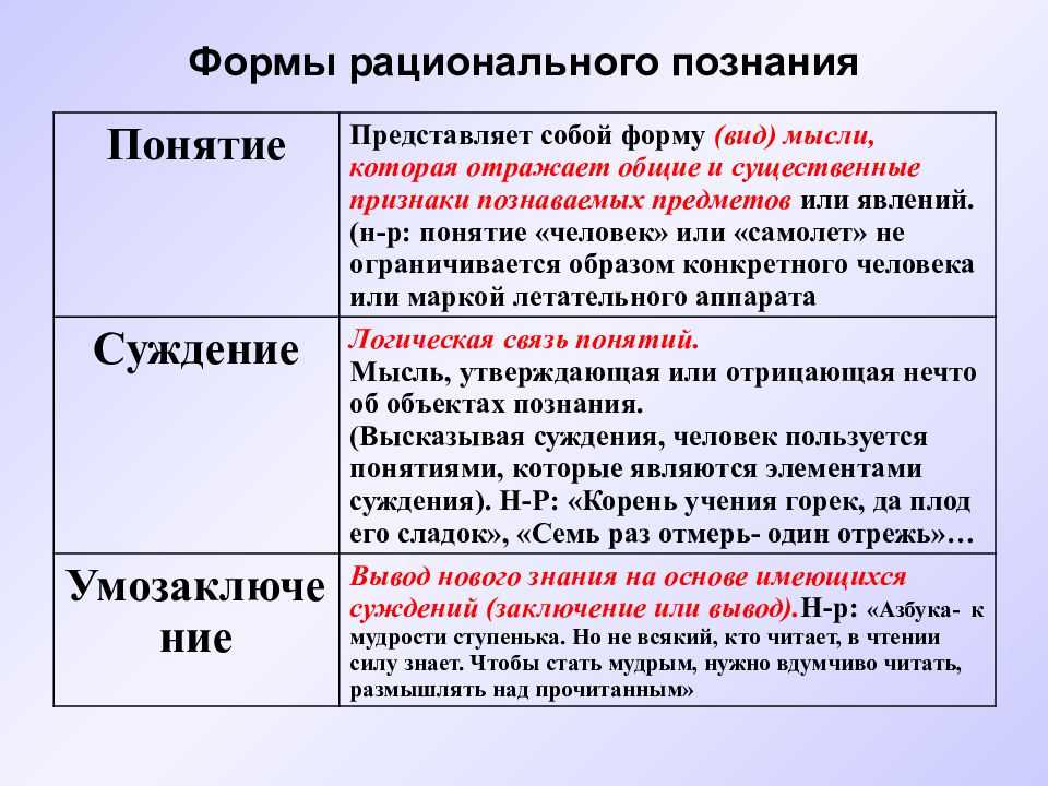 Этапы познания и их характеристика